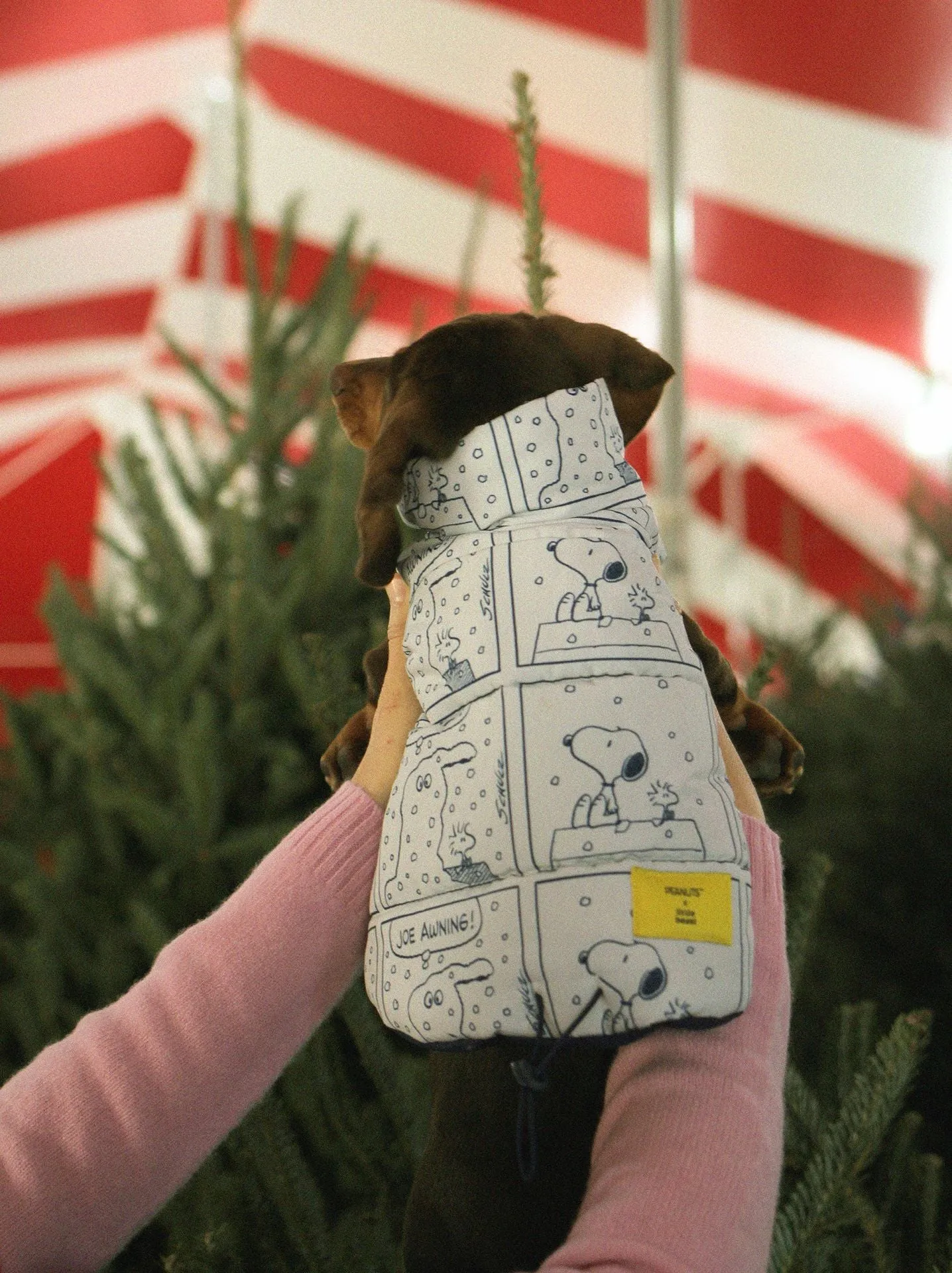 reversible snoopy parka