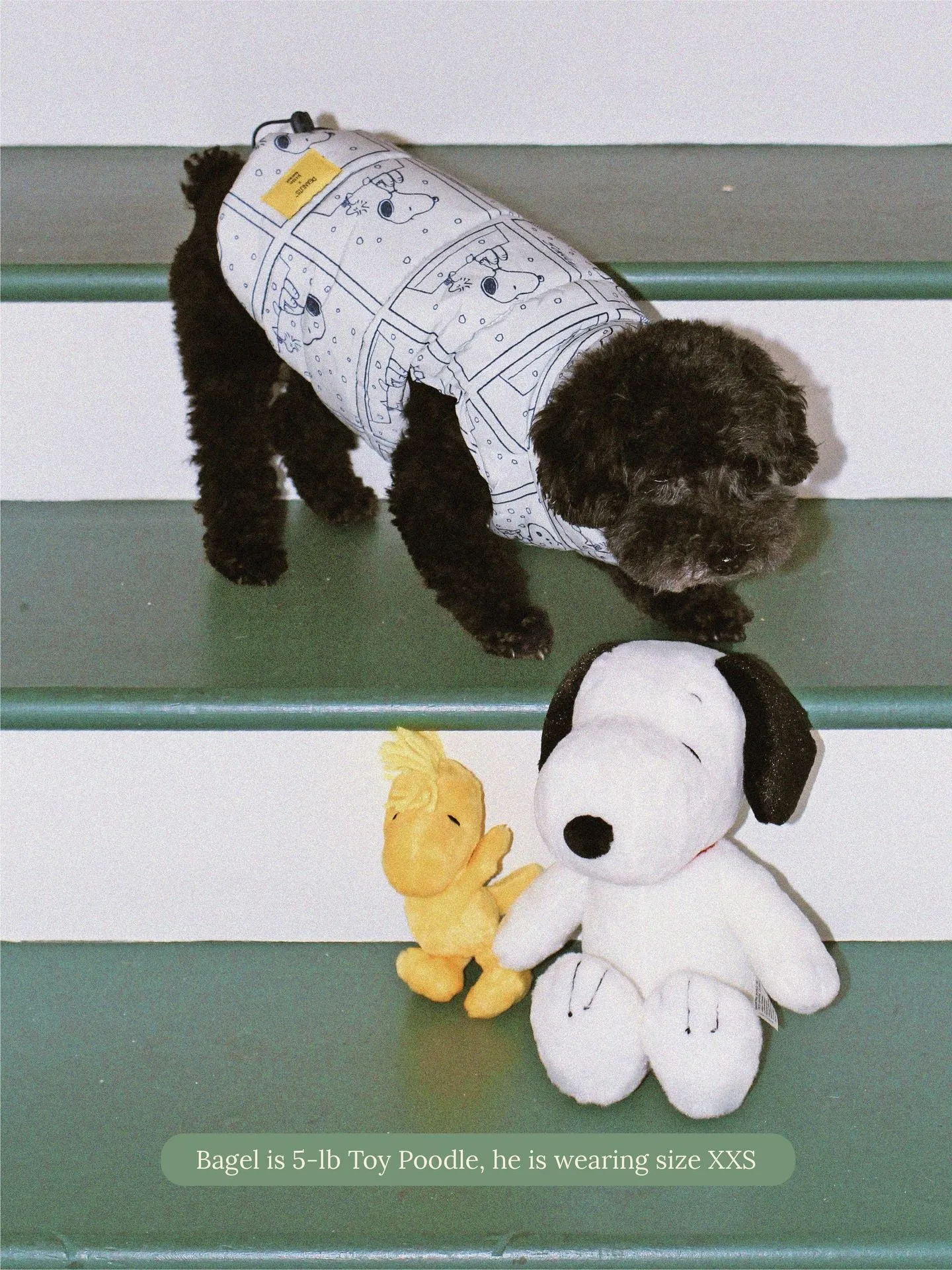reversible snoopy parka